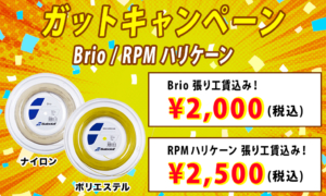 【期間限定】バボラ「Brio / RPMハリケーン」ガットキャンペーン