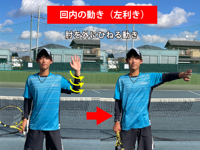 プロネーション｜回内の動き